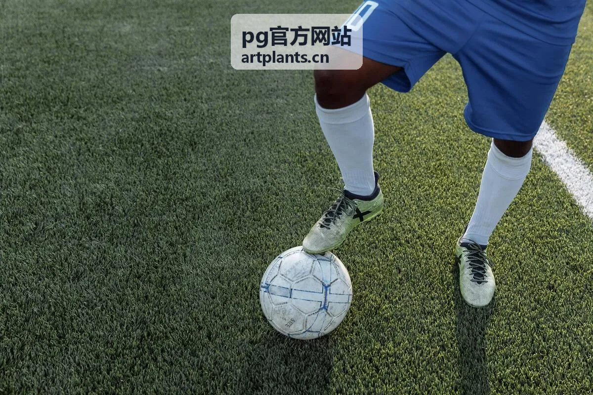 PG官方网站 最新版界面截图